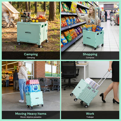 Portable Rolling Bike Crate | Green & Black & Grey | Sekamtools